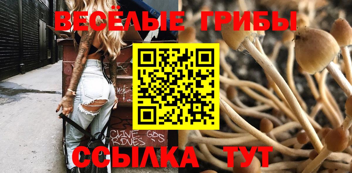 Можга  Галлюциногенные грибы мицелий  Вход с VPN  Псилоцибиновые грибы Magic Shrooms 